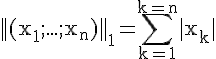 4$\rm ||(x_1;...;x_n)||_1=\Bigsum_{k=1}^{k=n}|x_k|